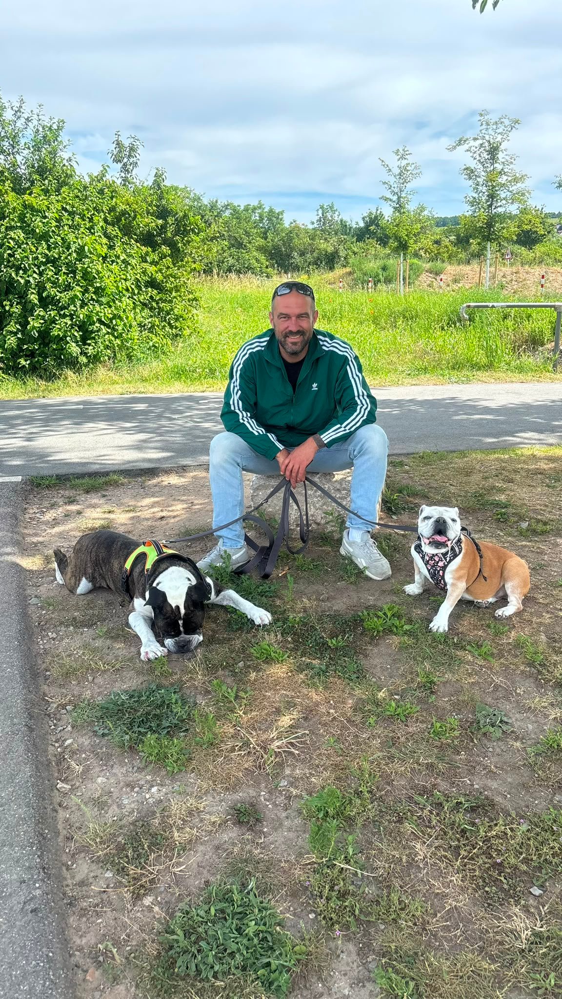 Ben Knebel – Hundetrainer und Gründer von Molly's Way, mit zwei Tierschutzhunden in der Natur